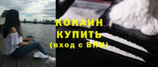 кокс Алексин