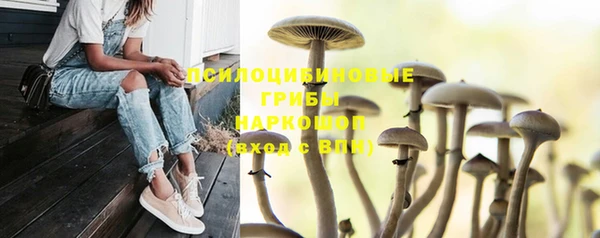 кокс Алексин