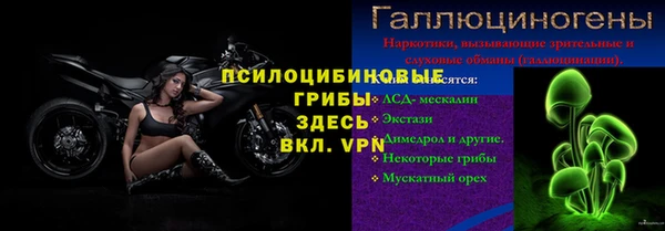мет Инта