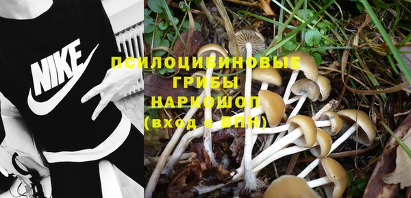 амф Инсар