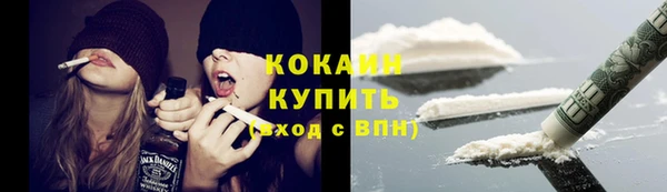 кокс Алексин
