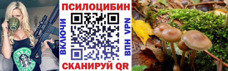 где купить наркоту  Артём  блэк спрут как войти  Псилоцибиновые грибы мицелий 